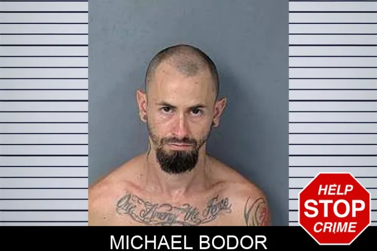 Michael Bodor