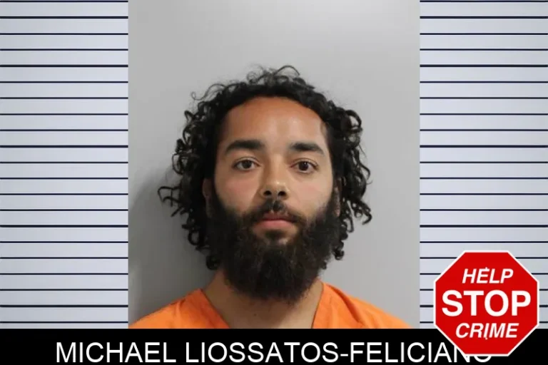 Michael Liossatos-Feliciano