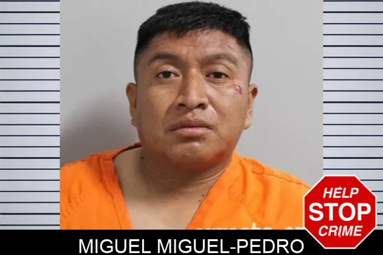 Miguel Miguel-Pedro