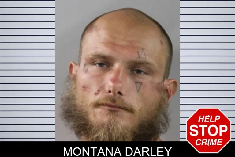 Montana Darley