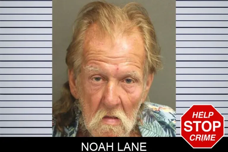 Noah Lane