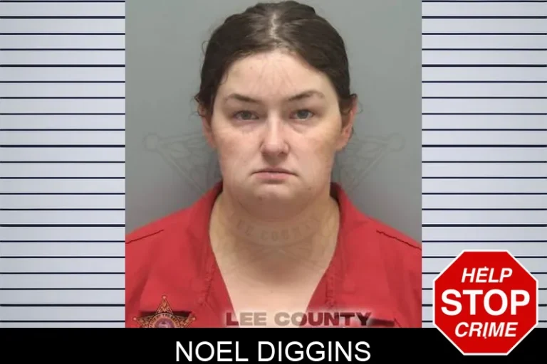 Noel Diggins