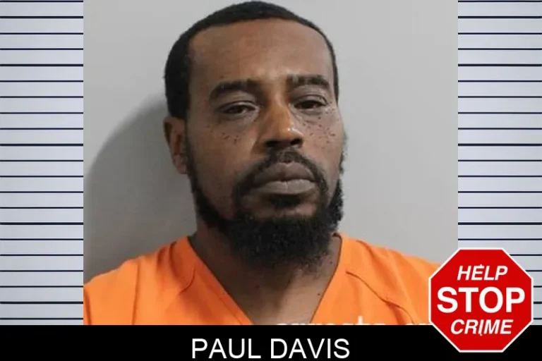 Paul Davis