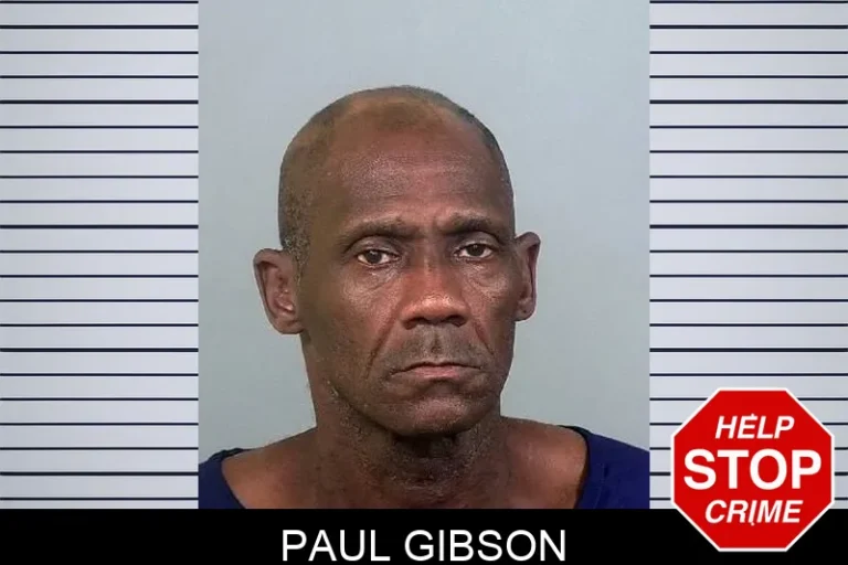 Paul Gibson