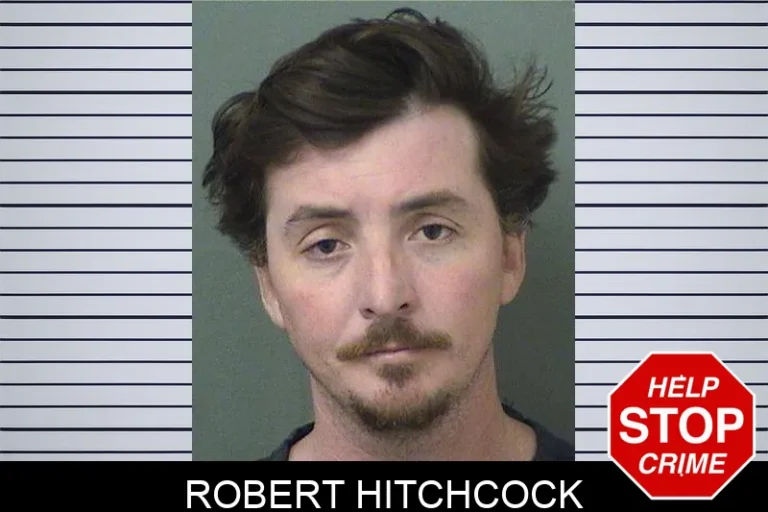 Robert Hitchcock
