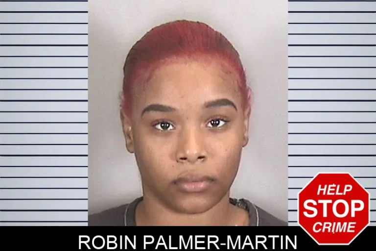 Robin Palmer-Martin