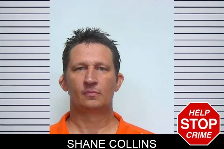 Shane Collins