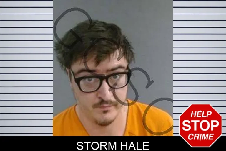 Storm Hale