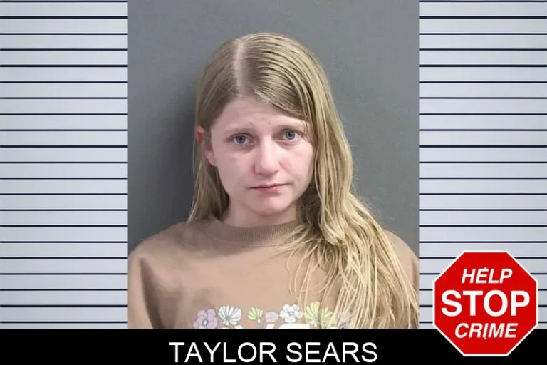 Taylor Sears