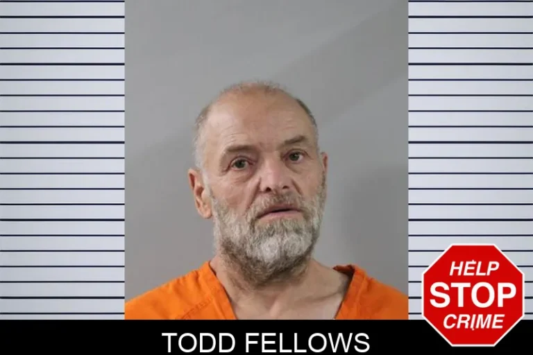 Todd Fellows