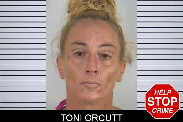 Toni Orcutt