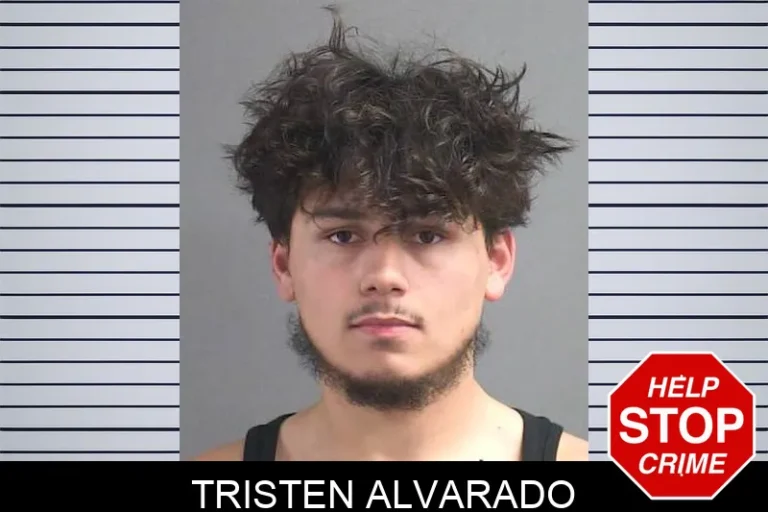 Tristen Alvarado