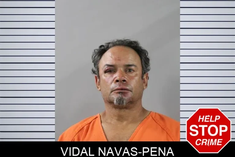 Vidal Navas-Pena