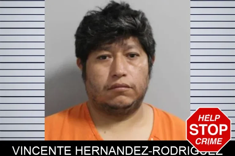 Vincente Hernandez-Rodriguez