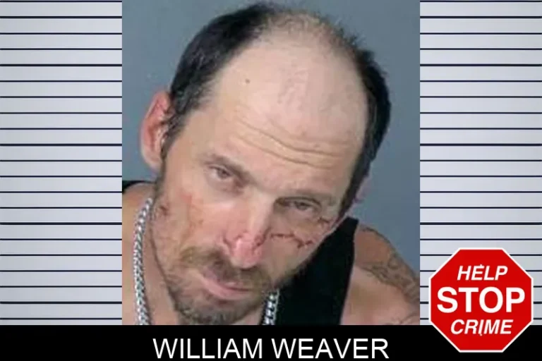 William Weaver