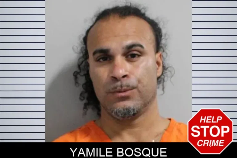 Yamile Bosque