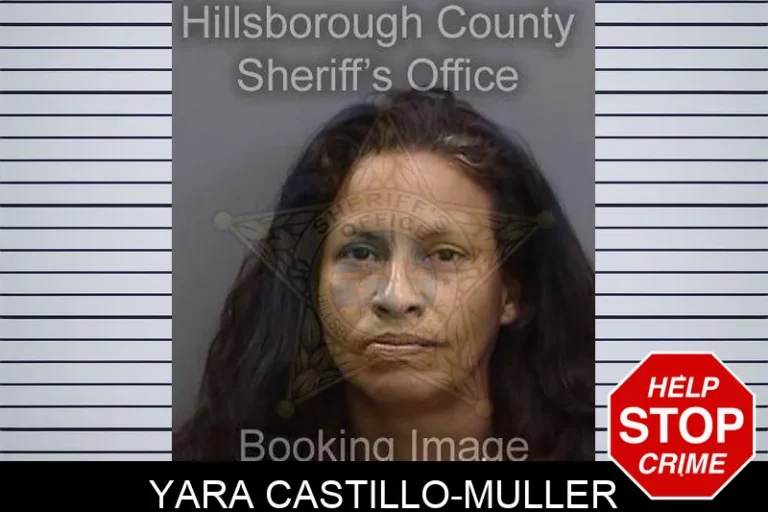Yara Castillo-Muller