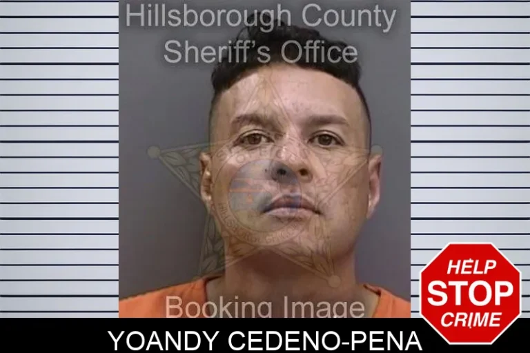 Yoandy Cedeno-Pena