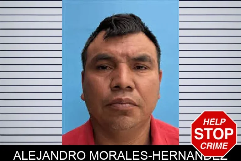 Alejandro Morales-Hernandez