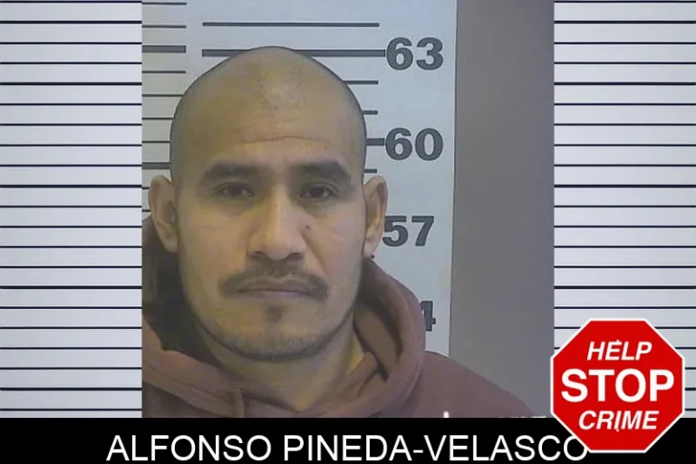 Alfonso Pineda-Velasco