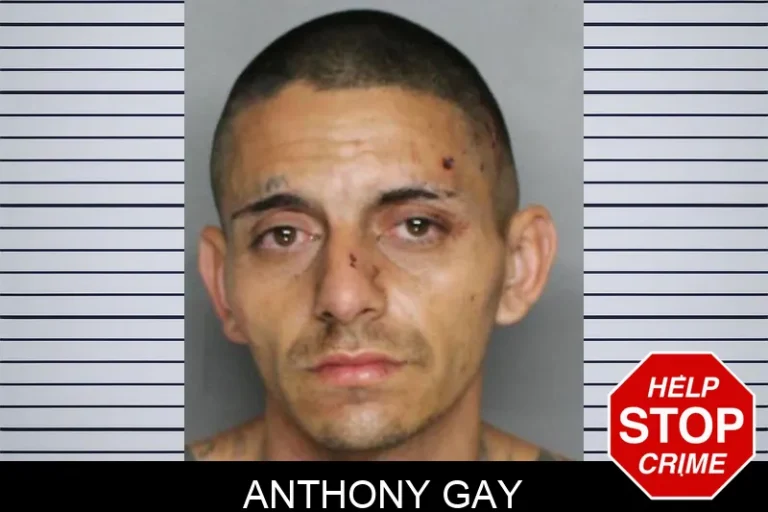 Anthony Gay
