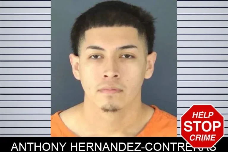 Anthony Hernandez-Contreras