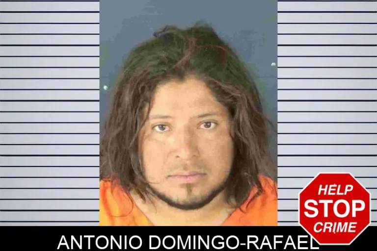 Antonio Domingo-Rafael