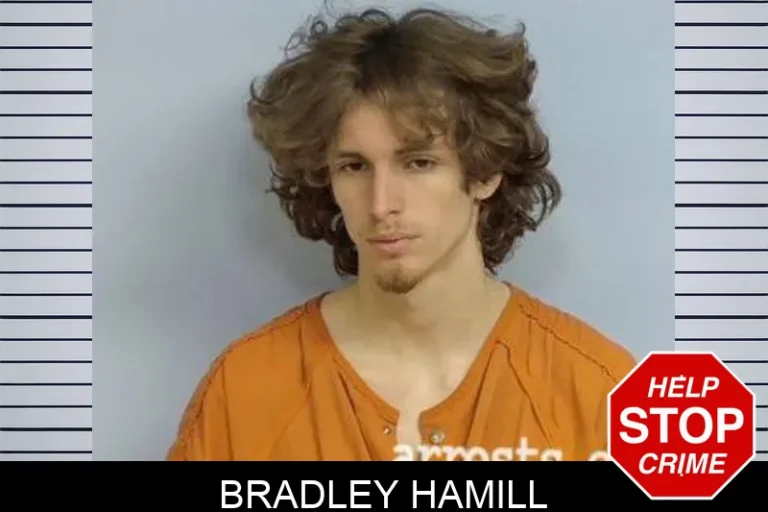 Bradley Hamill