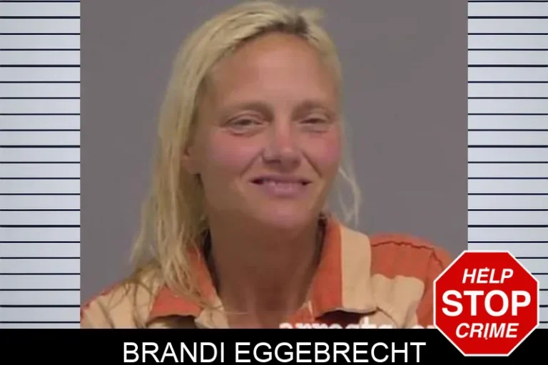 Brandi Eggebrecht