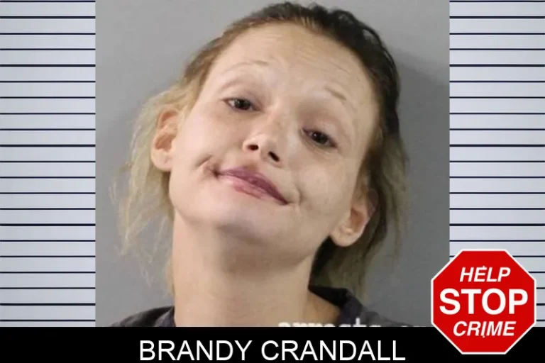 Brandy Crandall