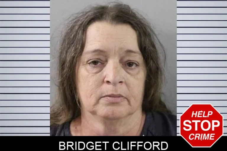 Bridget Clifford