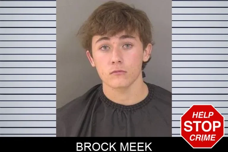 Brock Meek