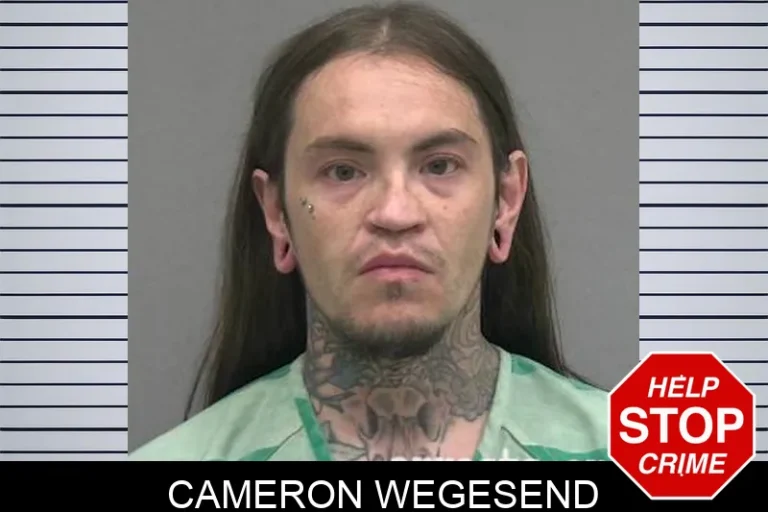Cameron Wegesend
