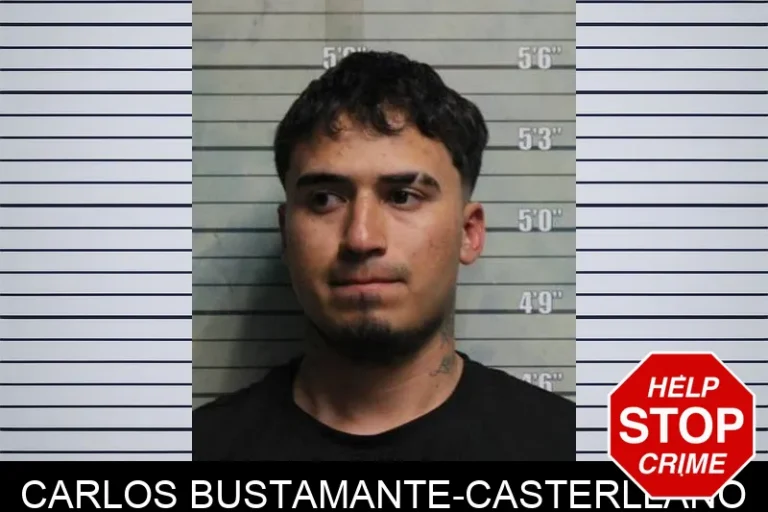 Carlos Bustamante-Casterllano
