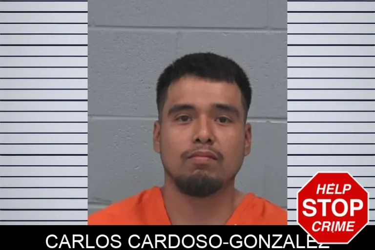 Carlos Cardoso-Gonzalez