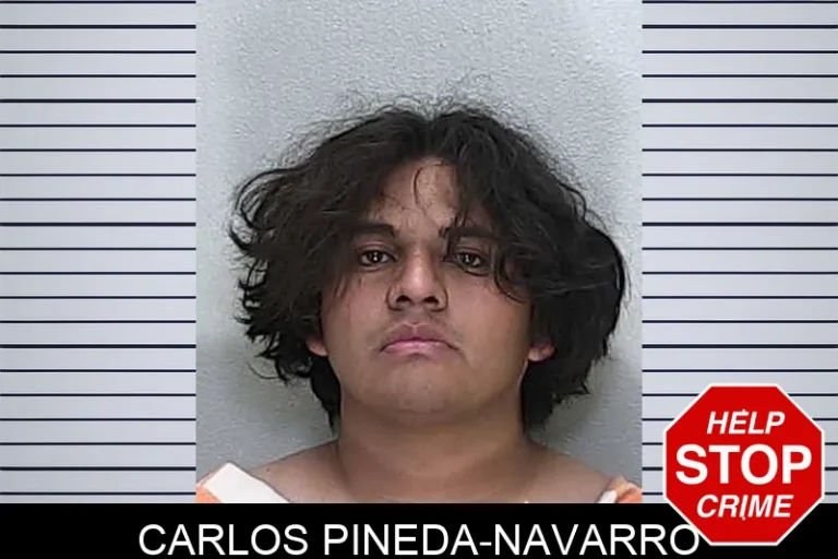 Carlos Pineda-Navarro