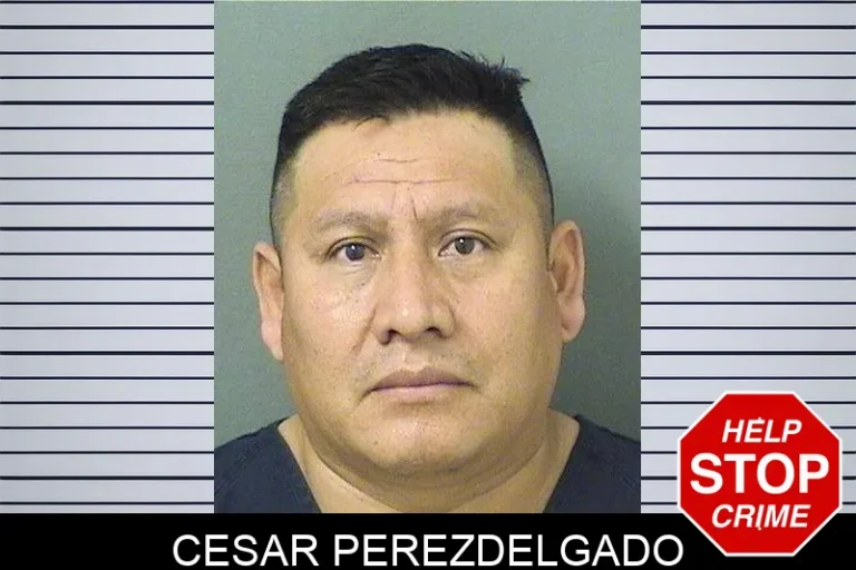 Cesar Perezdelgado