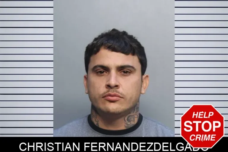 Christian Fernandezdelgado
