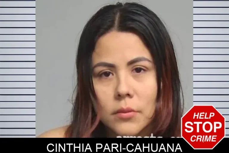 Cinthia Pari-Cahuana
