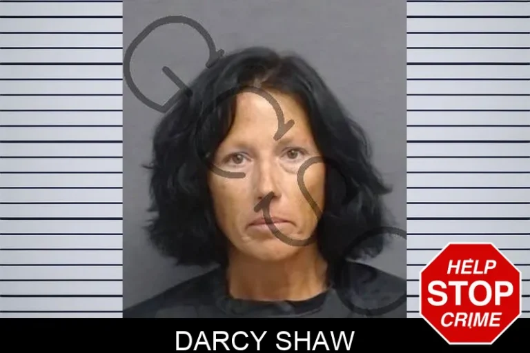 Darcy Shaw
