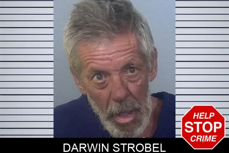Darwin Strobel