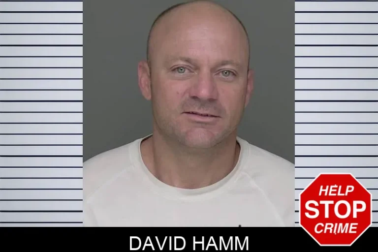 David Hamm