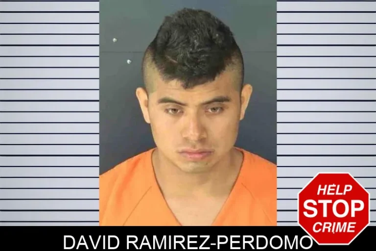 David Ramirez-Perdomo
