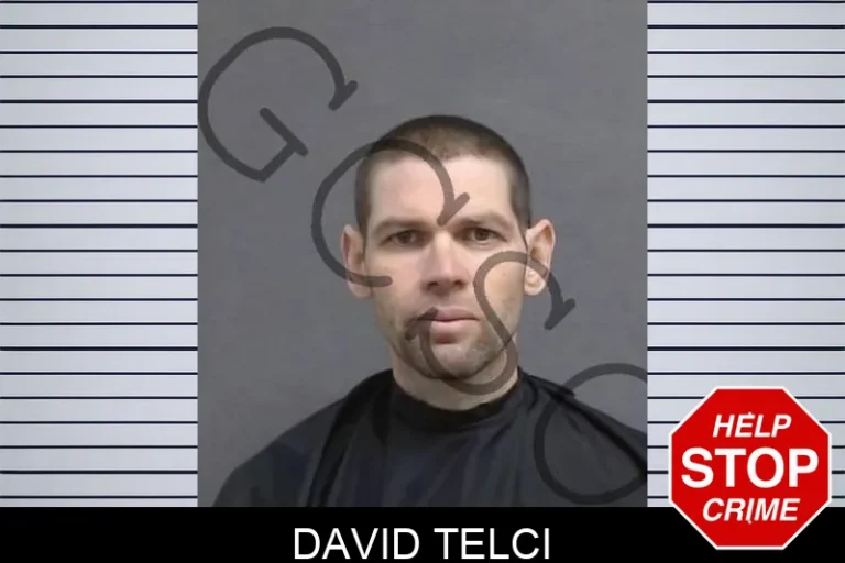 David Telci
