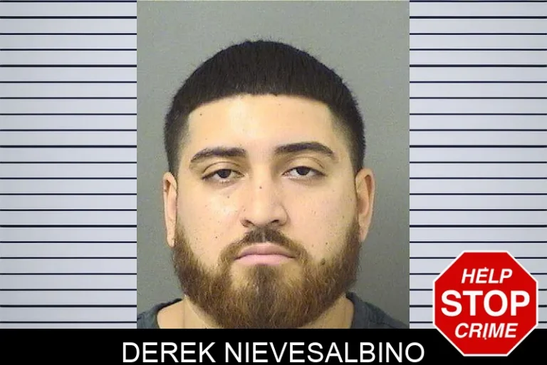 Derek Nievesalbino