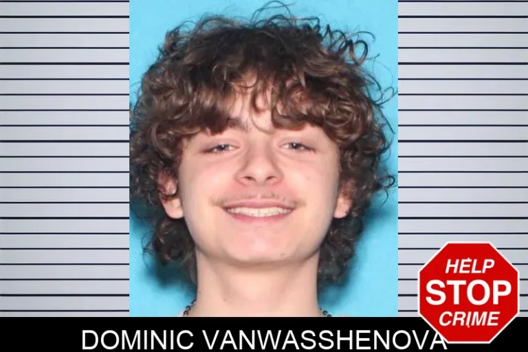 Dominic Vanwasshenova