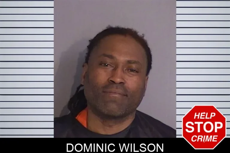 Dominic Wilson