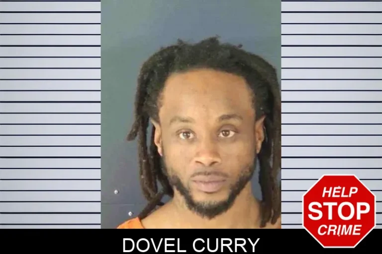 Dovel Curry