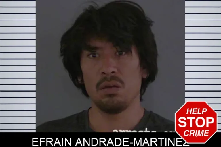 Efrain Andrade-Martinez