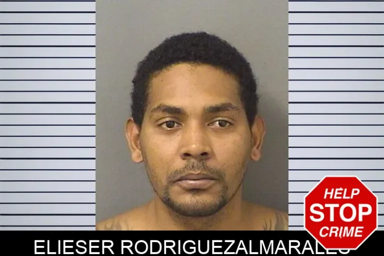 Elieser Rodriguezalmarales